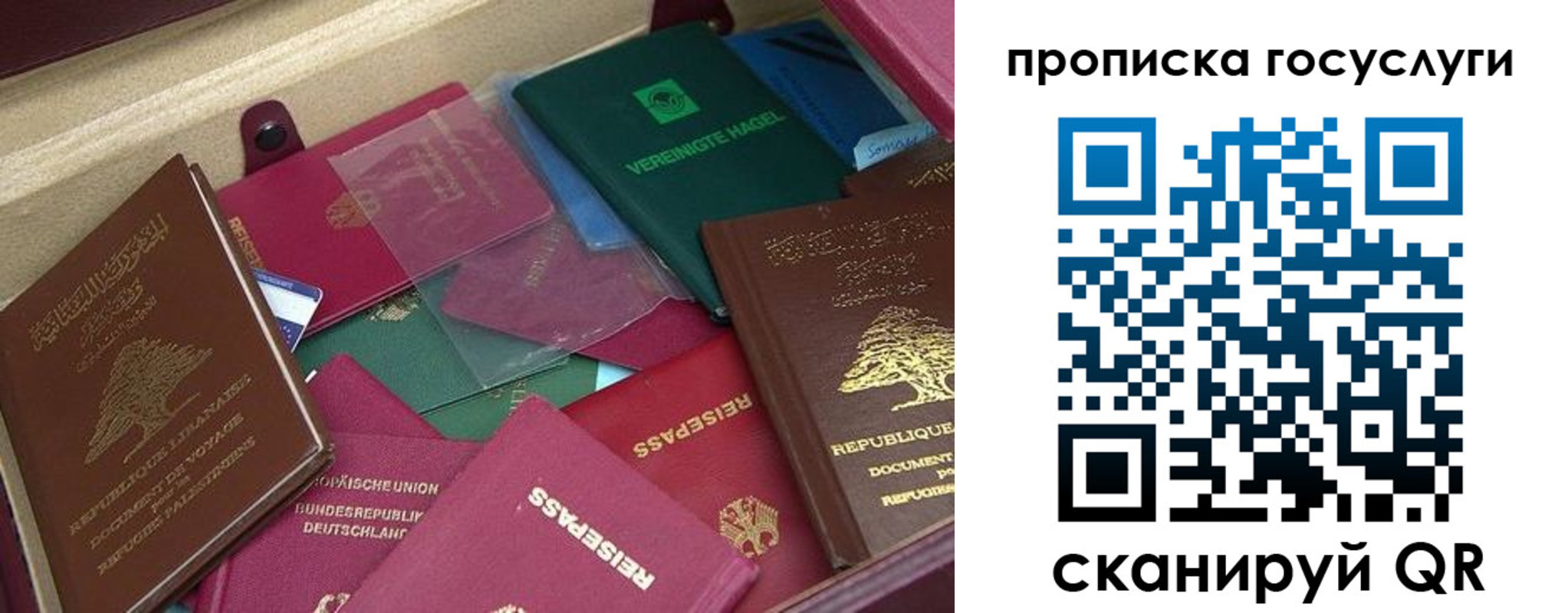 прописка гарантия в Артёме